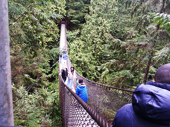 【中青旅】加拿大英语文化夏令营15日游学B.