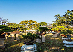 昆山出发高铁班 苏州一日游 拙政园+寒山寺+虎丘纯玩无购物