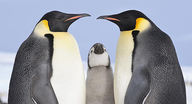 游26天】里约热内卢登船,包含北京,上海.广州,