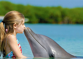三亚分界洲岛一日游【魔鬼鱼互动水上项目多多、大巴团价优性价比高私家团上门接送时间自由】