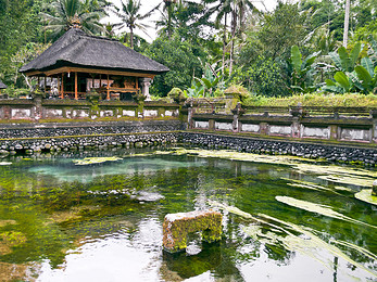 【中青旅】别墅酒店双体验巴厘岛4晚6天自由