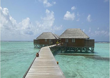 92c334f237dbd0f7.jpg_r_390x260x90_39ce5b85.jpg