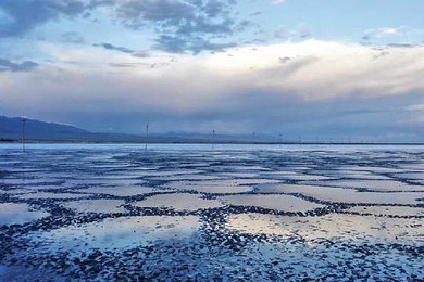 西宁、贵德、青海湖鸟岛、茶卡湖5日双飞跟团