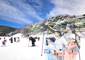 重庆金佛山+天星小镇一日游【纯玩耍雪+5区定点接驳+御寒神器】