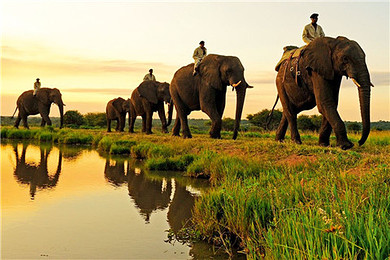 (暑假泰国亲子游推荐)泰国完美六日亲子浪漫之