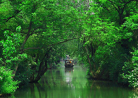 杭州西湖+西湖游船+雷峰塔+西溪国家湿地公园一日游【私家团·独立成团·单独车导·当地导游·上门接送·包车游】