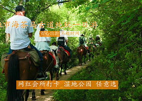 拉市海茶马古道+拉市海+拉市海骑马+拉市海湿地公园一日游【网红会所+会所内划船+午餐(土鸡火锅+素菜)】