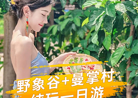 西双版纳野象谷+曼掌村一日游【1单1车，独立用车，含门票，制傣陶+刻贝叶经+寻野象踪迹】