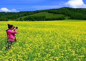 呼伦贝尔大草原四日游【莫尔格勒河+额尔古纳湿地+恩和+5卡7卡边防卡线+黑山头+满洲里+访牧户+星空篝火晚会】