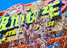 济南方特东方神画一日游【潍坊出发】