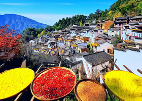 婺源篁岭+江湾景区+李坑景区+汪口+上下晓起二日游【可选8人团•打卡网红晒秋小镇•中午出发•含住宿•纯玩】