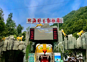 栾川竹海野生动物园一日游【跟团一日游】