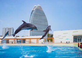 【错峰】三亚亚特兰蒂斯酒店1-2晚+2大2小早餐无限次畅玩三亚亚特兰蒂斯失落的空间水族馆三亚亚特兰蒂斯水世界