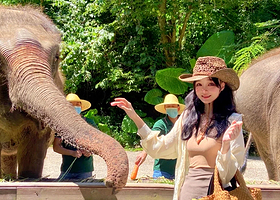 【私家团】西双版纳野象谷+傣族园一日游/寻觅野象踪迹+泼水狂欢+一单一团+纯玩无套路+集团自营发团