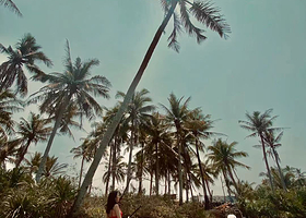 三亚自游者桨板俱乐部【椰子洲岛浆板探秘】