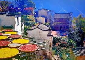 婺源篁岭+李坑+江湾+晓起+汪口二日游【轻奢团•免费上门接送•含1晚品质住宿•纯玩无购物•精选优质导游】