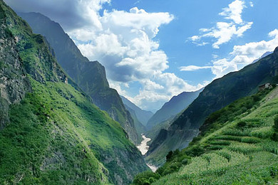 d19215db8ed3a6.jpg_r_390x260x90_dc32285f.jpg