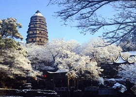 苏州拙政园+寒山寺+虎丘山风景名胜区+山塘街一日游【纯玩无购物 上海出发】