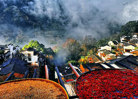 ◇婺源起止◇ 婺源风景区+篁岭 上午8点出发 纯玩半日游