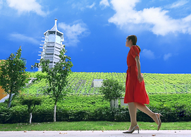 南京总统府+美龄宫+大报恩寺遗址景区+中山陵景区+夫子庙秦淮风光带一日游【无购物 天天发班 导游讲解陪同】