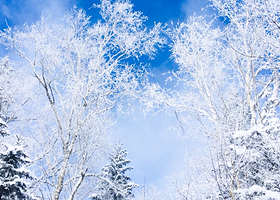 吉林市万科松花湖度假区一日游【万科滑雪场·2-6人小团·含雪票】