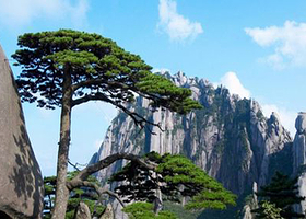 黄山一日游【全景黄山+西海大峡谷，甄选16人精品团，纯玩无购物，导游陪同上山+赠登山三宝】