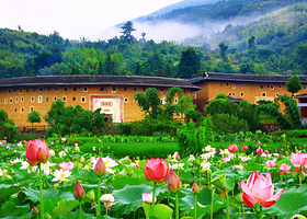 福建土楼(永定)景区+福建土楼王景区+承启楼一日游【私家团1单1车+含厦门岛内上门接送+成人门票+赠景区讲解】