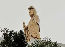 普陀山风景区+西天景区+普济禅寺+紫竹林+南海观音一日游【祈福专线·许愿还愿静心禅游之旅】