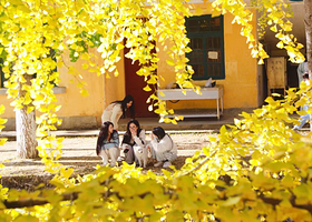 【自驾套餐】韶关南雄帽子峰银杏景区内官方直营特色民宿住宿1晚、可开车进入景区+含双人帽子峰景区门票+早餐