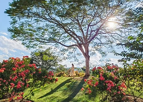 西双版纳中科院西双版纳热带植物园+西双版纳傣族园一日游【包含首道门票/遨游植物王国+泼水狂欢体验/专线直通车】