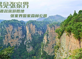 【2-8VIP私家纯玩小包团】张家界国家森林公园袁家界+天子山+十里画廊+金鞭溪水绕四门段一日游+上门接送