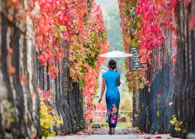 北京古北水镇一日游【舒适巴士 夜游古北 长城夜景  音乐水舞秀】
