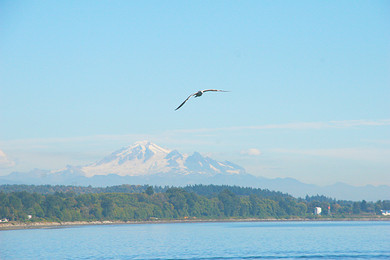 【中青旅】加拿大英语文化夏令营15日游学B.