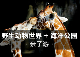 曼谷野生动物世界一日游【野生动物园（私家团专车包车畅玩）上门接送*含海洋公园内自助午餐*】