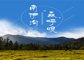 林芝南伊沟一日游【开启醉氧模式.来次森呼吸林芝市区接送+午餐，可选+雅鲁藏布大峡谷】