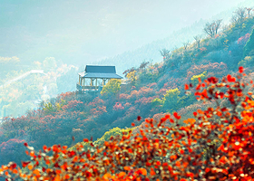 石门坊一日游【淄博出发】