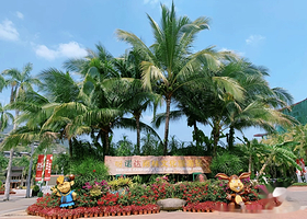 三亚呀诺达雨林文化旅游区一日游【可选小团（含接送+门票+上下山交通工具）】