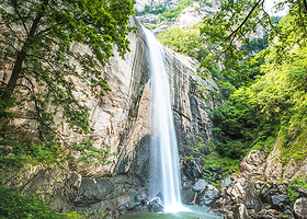 洛阳白云山一日游【成人价含景区上下山交通车、景区自由玩，纯玩】