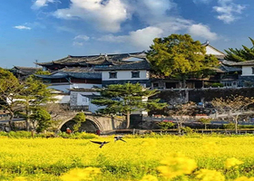 北海湿地+和顺古镇+大地茶海4天3晚 全程温泉客栈 赠森林温泉【保山/腾冲/芒市起止  纯玩私家小团】