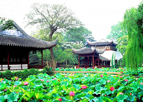 【纯玩无自费 】拙政园/狮子林/寒山寺/周庄古镇一日游