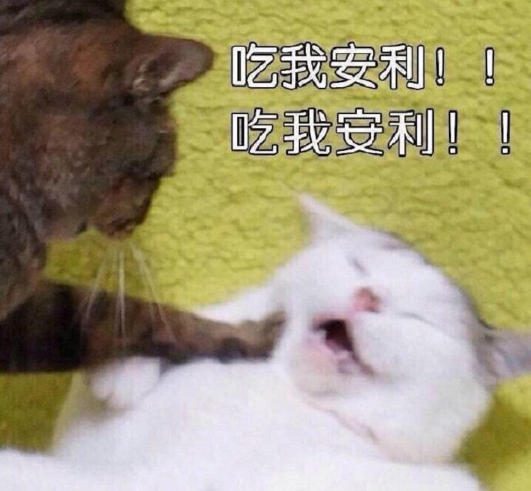 带上你的相机,带上小嘻和你一起去旅行~ 有事随时call我(微笑)