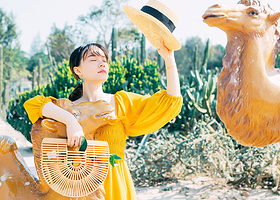 厦门曾厝垵+南普陀+环岛路+演武大桥厦门市区精华景点任选包车自由行纯玩