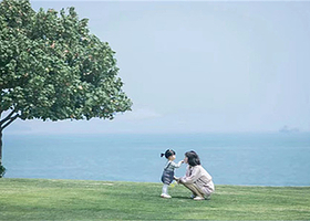 错峰放价 厦门纯玩 赶海体验一日游 滩涂赶海帆船出海沙坡尾 免接送 含中餐 小团/轻奢/多套餐可选