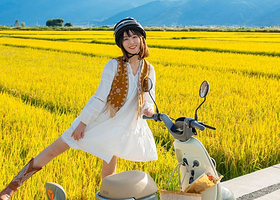 大理感通索道+崇圣寺三塔+喜洲+洱海游船+南诏风情岛+双廊一日游