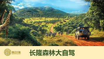 清远长隆森林大自驾