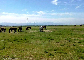 怀来县东花园海亮骑士俱乐部