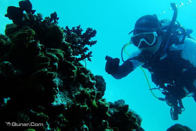 帆船港潜水度假村旅游