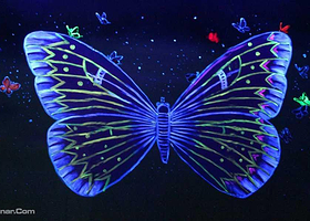 国际夜光互动艺术展