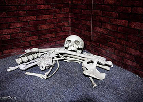 Nightwish夜愿主题密室