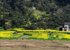 新安江国画长廊游船